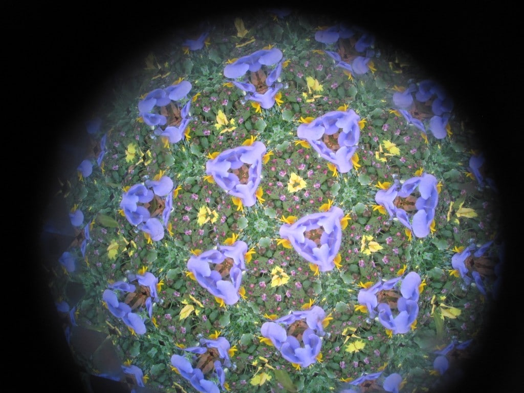 kaleidoscope view of the flowers1