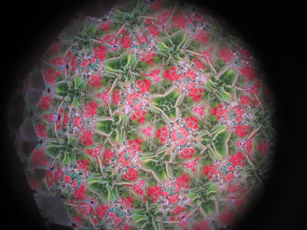 kaleidoscope view of the flowers 2