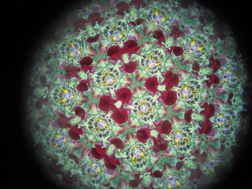 kaleidoscope view of the flowers 3