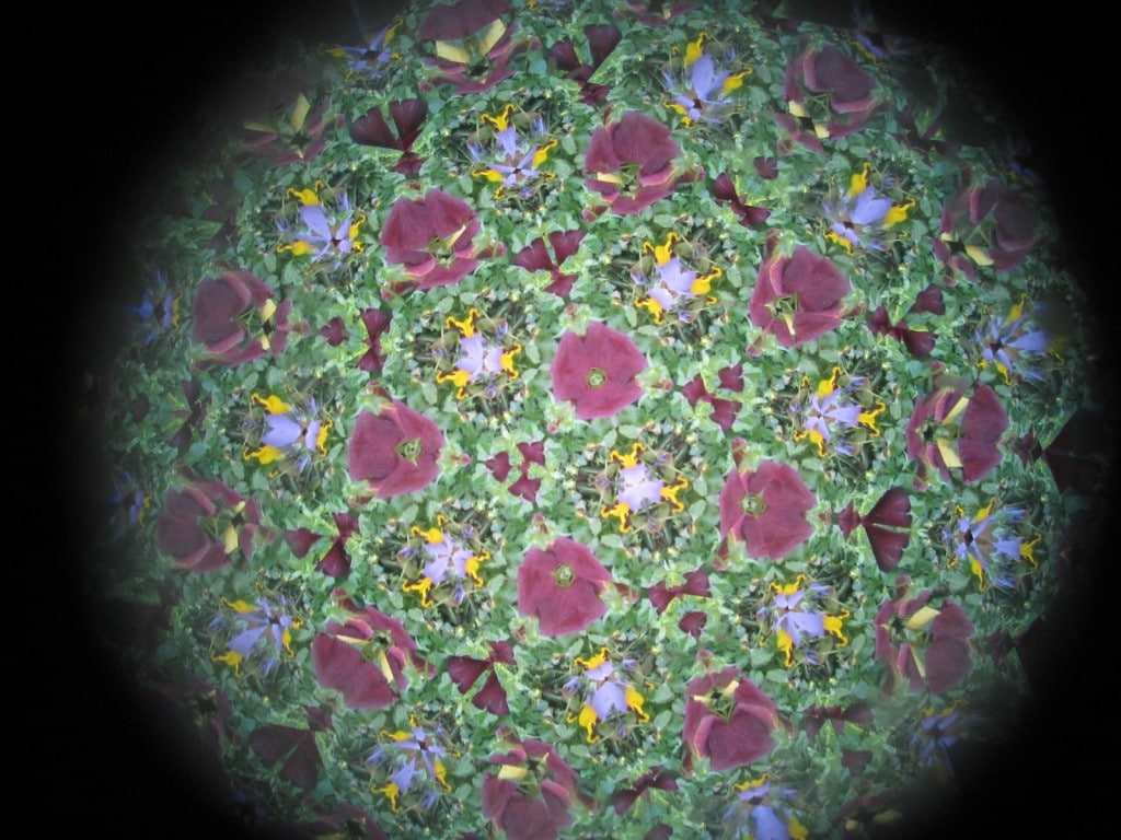kaleidoscope view of the flowers 4