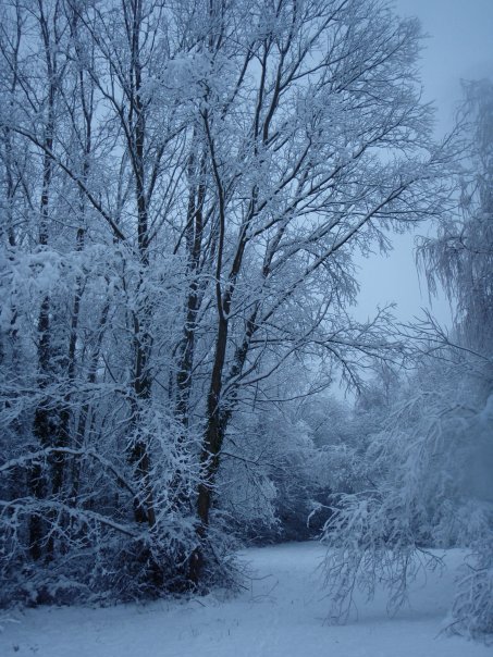 Snow UK January 2010