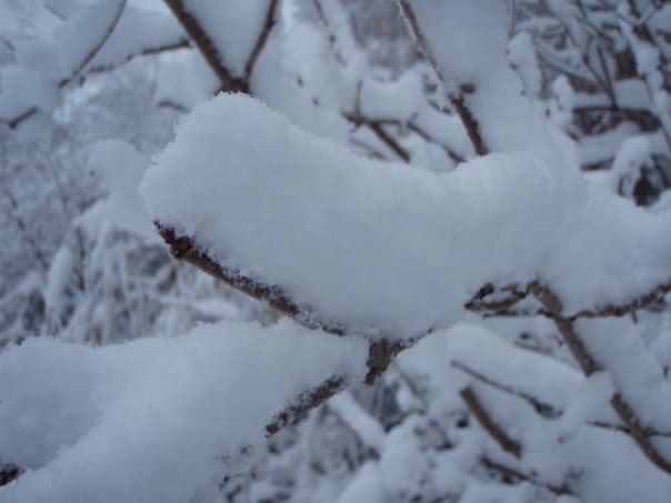 Snow UK January 2010