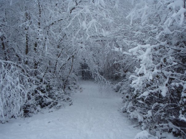 Snow UK January 2010