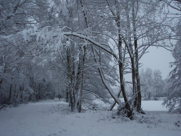 Snow UK January 2010