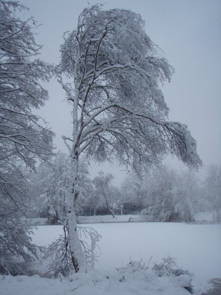 Snow UK January 2010