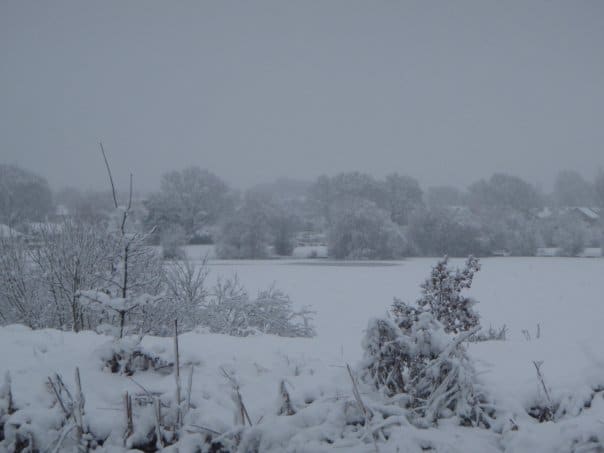 Snow UK January 2010