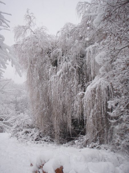 Snow UK January 2010