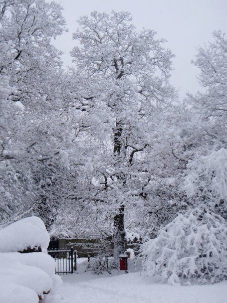 Snow UK January 2010