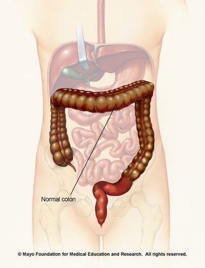 Normal colon