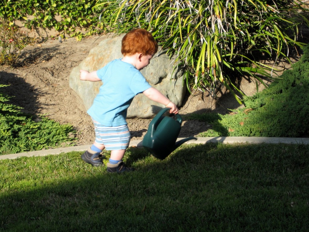 Leo watering the plants